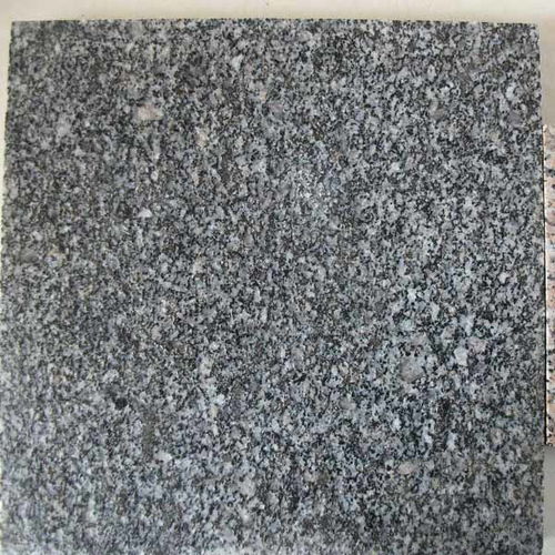 河北芝麻灰廣場磚 中興石材銷售批發 芝麻灰廣場磚廠家電話